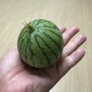 야옹아 부탁해 | 30w의 이야기