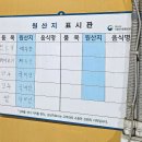 백마카서비스 | 제주 조천읍 백마가든 : 초보자도 즐길 수 있는 소고기맛의 육즙 가득! 부드러운 말고기, 제주 현지인...