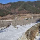 씽씽 자동차정비 이미지