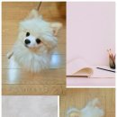 개편한 미용# 이미지