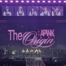 💗 2026.02.21 Apink 콘서트 후기 – 학창시절 플레이리스트가 현실이 된 날