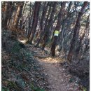 토영이야~길(2코스-미륵도길) 이미지