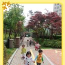 들놀이공원 이미지