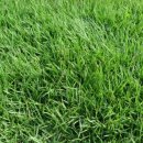 국립산림과학원
산림바이오소재연구소 이미지