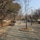 솔마루 작은도서관 네이버블로그