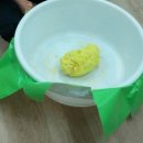 꽃 꿀방 이미지