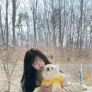 핸드메이드디자인샵 수작소 인생사진 벽걸이 달력 제작 후기