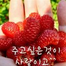 ♤홀로가는_내_삶의길♡ 이미지