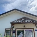 배바우손두부 이미지