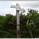 장계대곡~무룡고개가로수길 | 함양 영취산 산자~홍.깡.전복이.서울.뽈.가람.