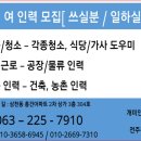 개미파출부 이미지