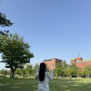 보호본능 | see in :: 여리여리 보호본능 일으키는 여름니트 착용후기