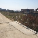 덕주농장 이미지