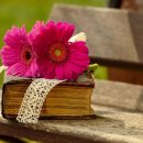 상인중학교 이미지