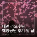 대련 아이와 함께 가볼 만한 곳 라오후탄 해양공원 후기ㅣ입장료, 위치, 관람 포인트 총정리