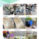 군포경찰서 어린이집 이미지