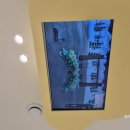 이루다소아치과의원 이미지