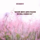 솔한 | 은평구사주 [연타로 사주] 누구에게도 말 못 할 속앓이, 전화 한 통으로 내려놓은 ‘나’를 위한 시간