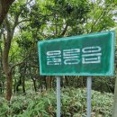 일출상회