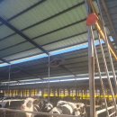 한주축사 이미지