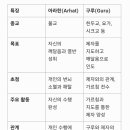 아라한, 구루 이미지