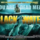 블랙 워터 (Black Water/2008) 모험, 스릴러 | 오스트레일리아 | 90 분 /다이아나 글렌, 매브 더모디, 앤디 로더레다 이미지