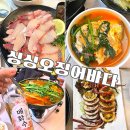 싱싱오징어바다 | 왕십리역 횟집 싱싱오징어바다 한양대점 방어 오징어통찜