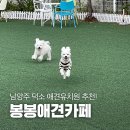 봉봉애견카페호텔 이미지