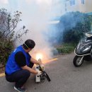 괴정1동-10 이미지