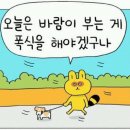 짱PC게임 이미지