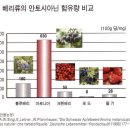 만병통치약 아로니아베리 성분과 놀라운 효능~ 이미지