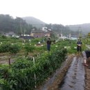 소사농장 이미지