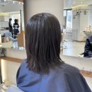 노원구청 | 노원역 미용실 예움헤어 노원구청점 레이어드컷 후기