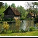 하쿠나마타타 민박 이미지