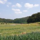 윤이농장 이미지