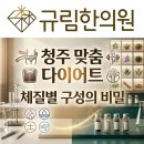 내성교차로 | 청주 맞춤형 다이어트 한약, 체질별 약재 구성의 비밀