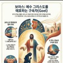 친족 구속자 : 보아스 이미지