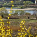 숲뜰근린공원 이미지