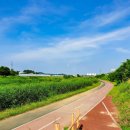 신둔천 1 이미지