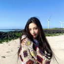 조이비디오 이미지