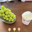 스테이 시래 이미지