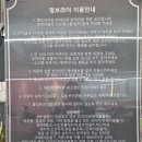 멍브라더 애견카페 이미지