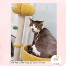 요미살롱 이미지