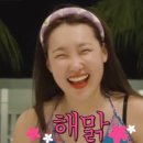 솔밭휴양림