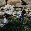 은실민박 이미지