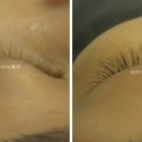 이미호아이래쉬 이미지