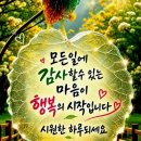 오늘의 운세 이미지