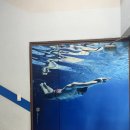 시민생활체육관 수영장 이미지