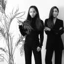 S.E.S. 카카오 검색결과