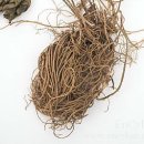 세신한의원 이미지